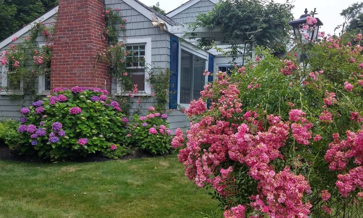 Hyannis House | Remodeled historical Gosnold Cottage.300 yards to the beach.