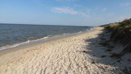 Town Bank House | Salty Dog Beach House