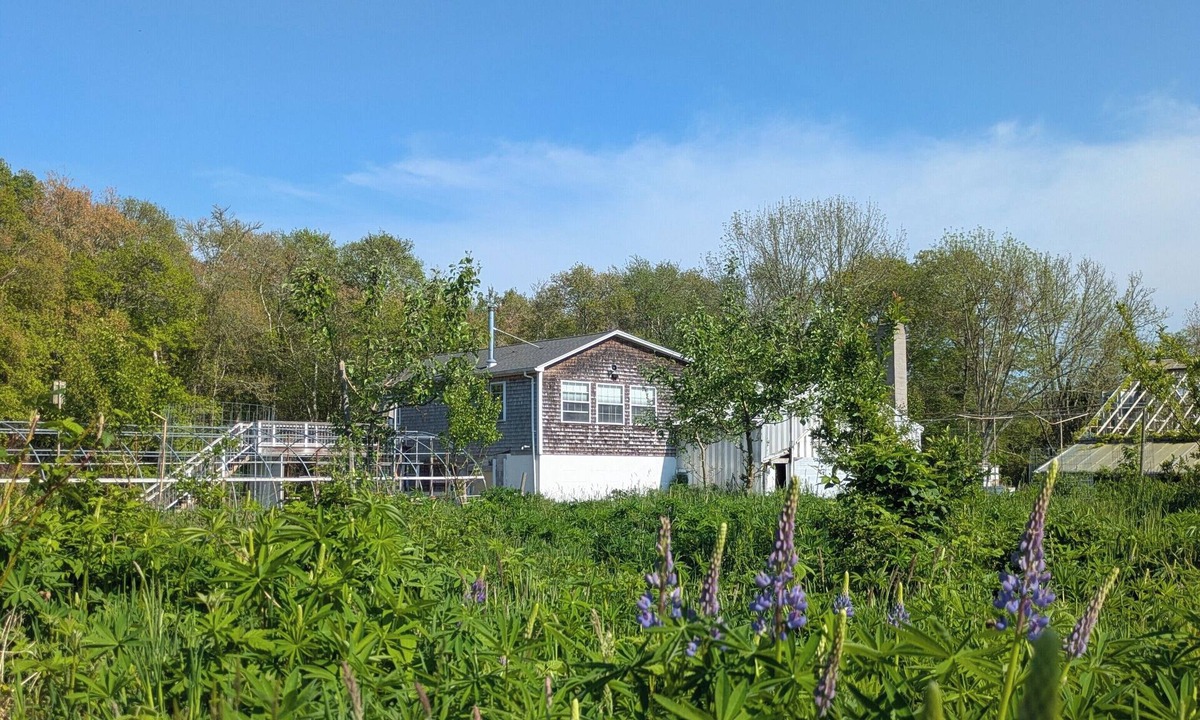 Westport Apartment | Studio guesthouse on our farm in beautiful South Westport.