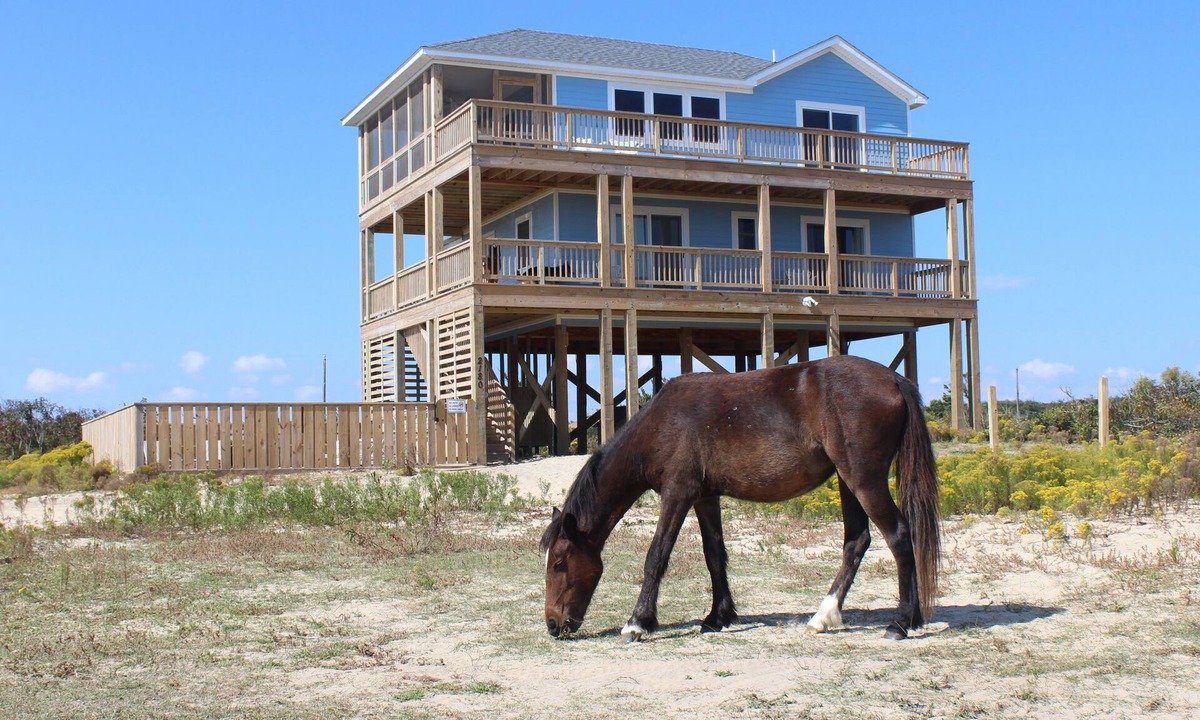 Carova Beach House | Summer Paws | 3BR SemiOceanfront 4x4 OBX | Pool, Hot Tub & Wild Horses | Pets