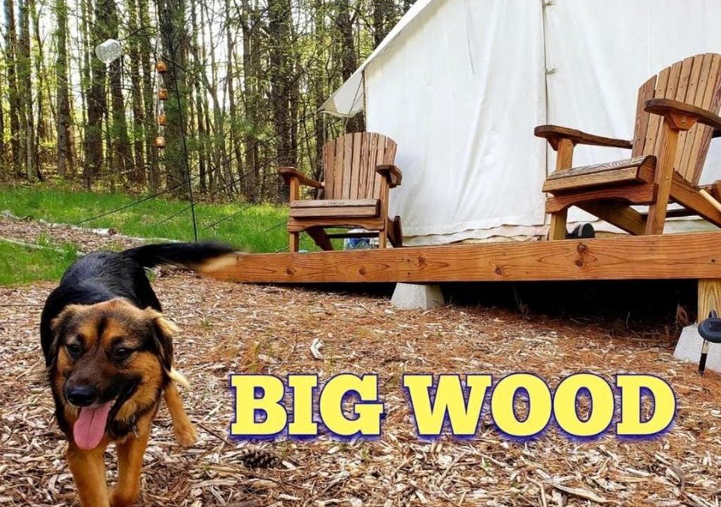 Acra Other | Tentrr Signature Site - Big Wood