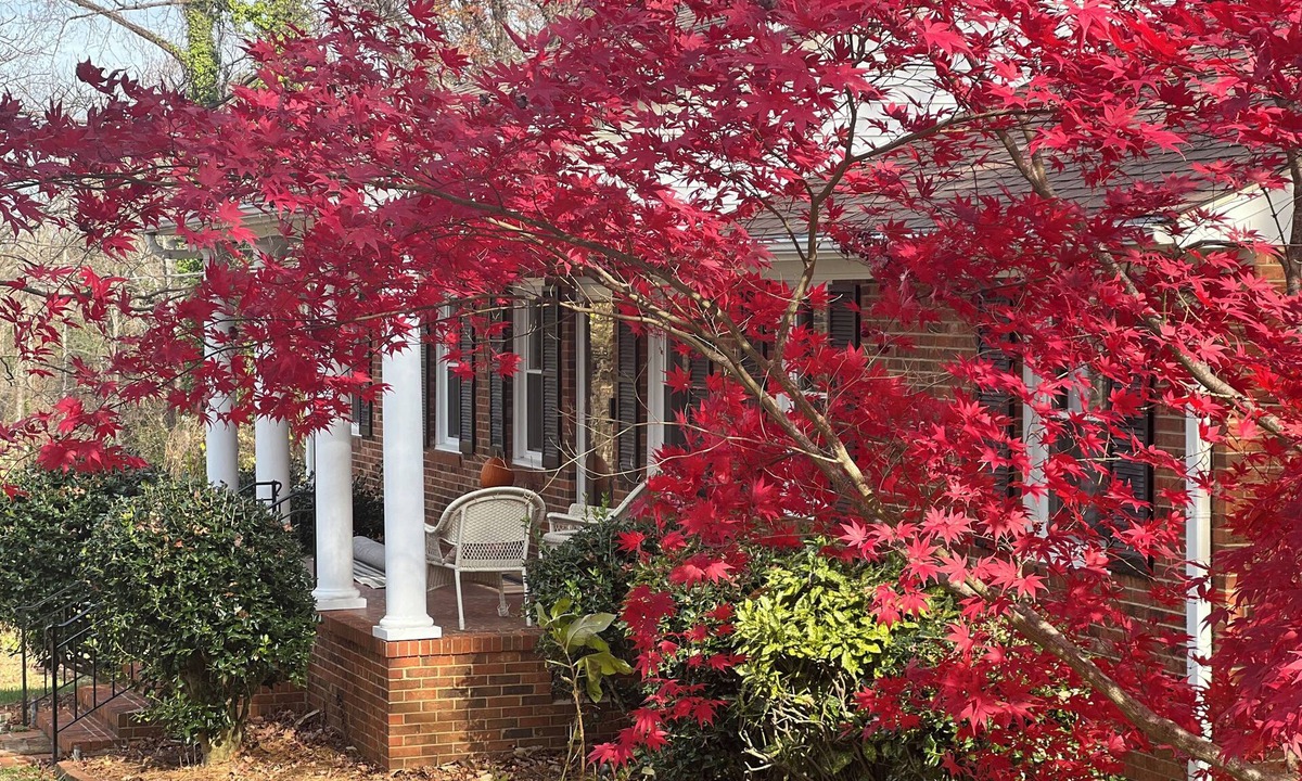 Greensboro House | “The Big Friendly” Spacious 6-bedroom house in amazing Greensboro!