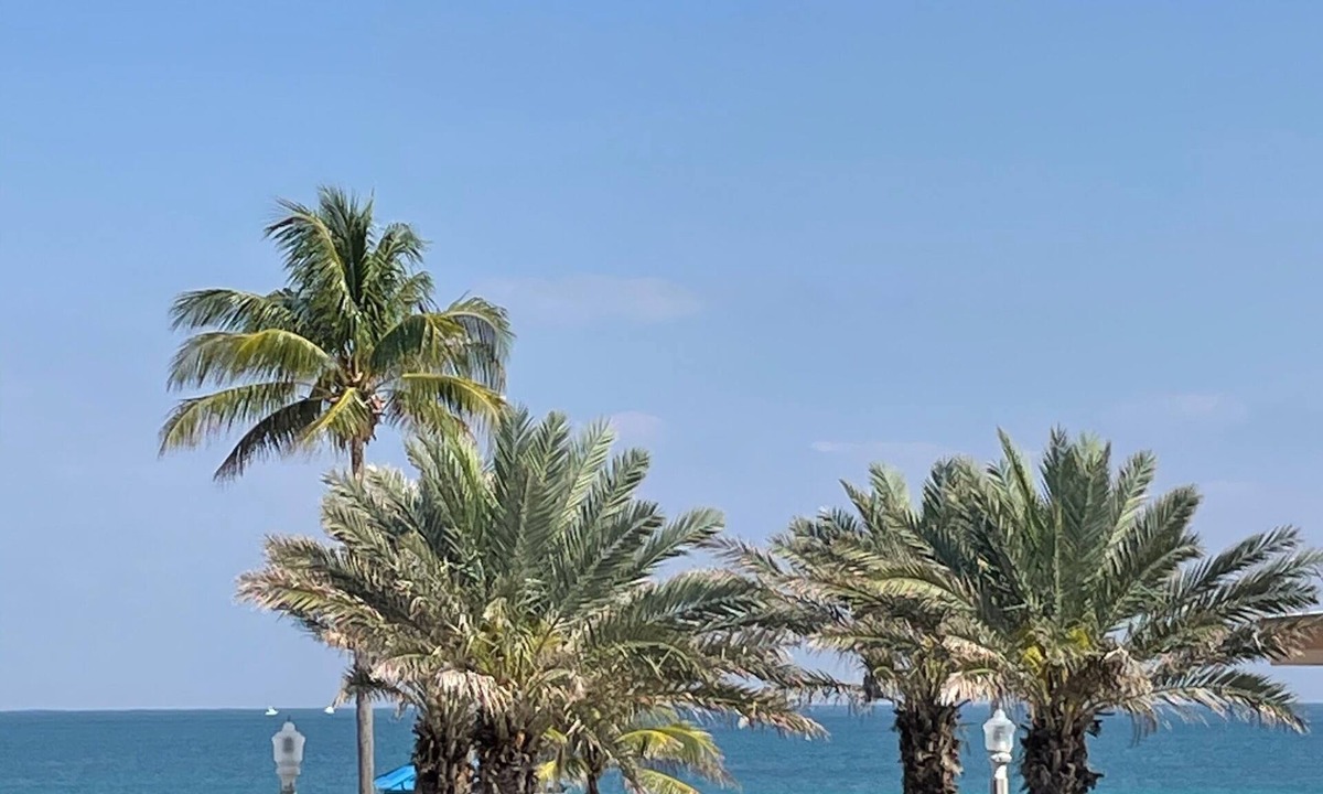 Hollywood Hotel | The Marlin Beachside