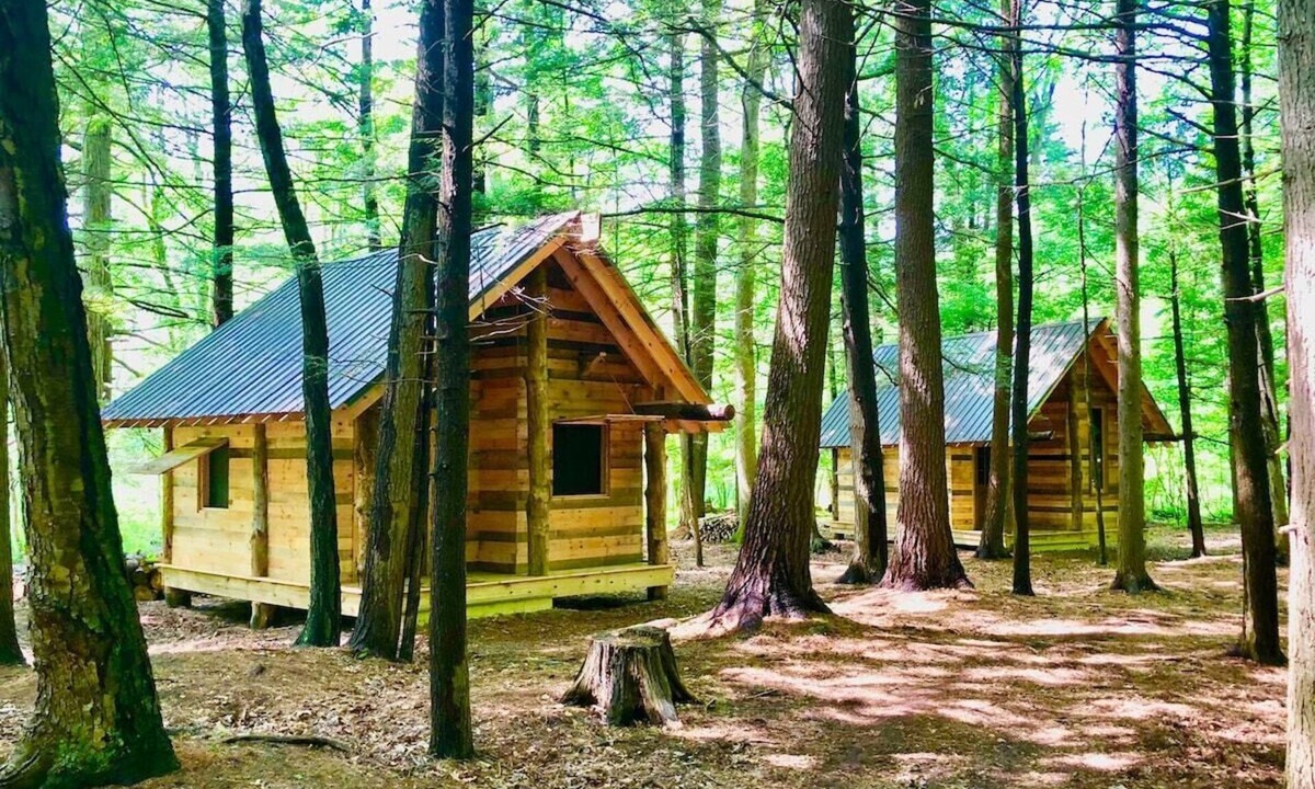Newtonville Cabin | TimberTown Cabin #3 at June Farms, GLAMPING at it's finest!