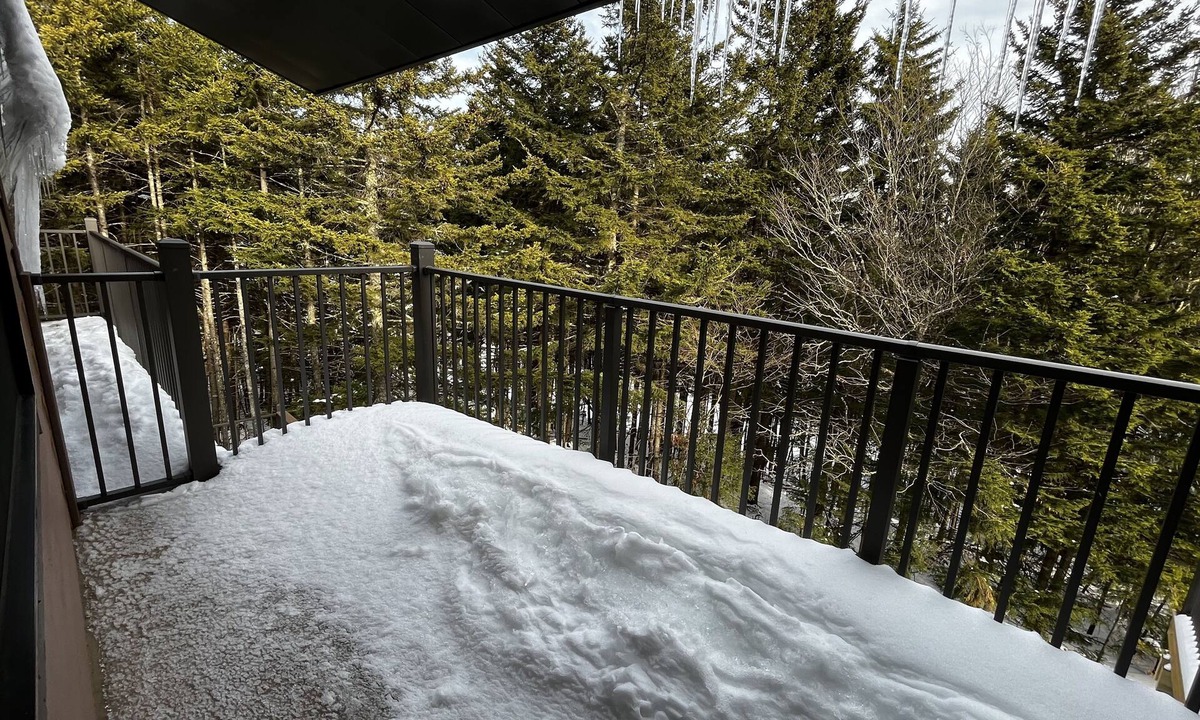 Edray House | Treetop 39 - Snowshoe , Short walk to The Village!
