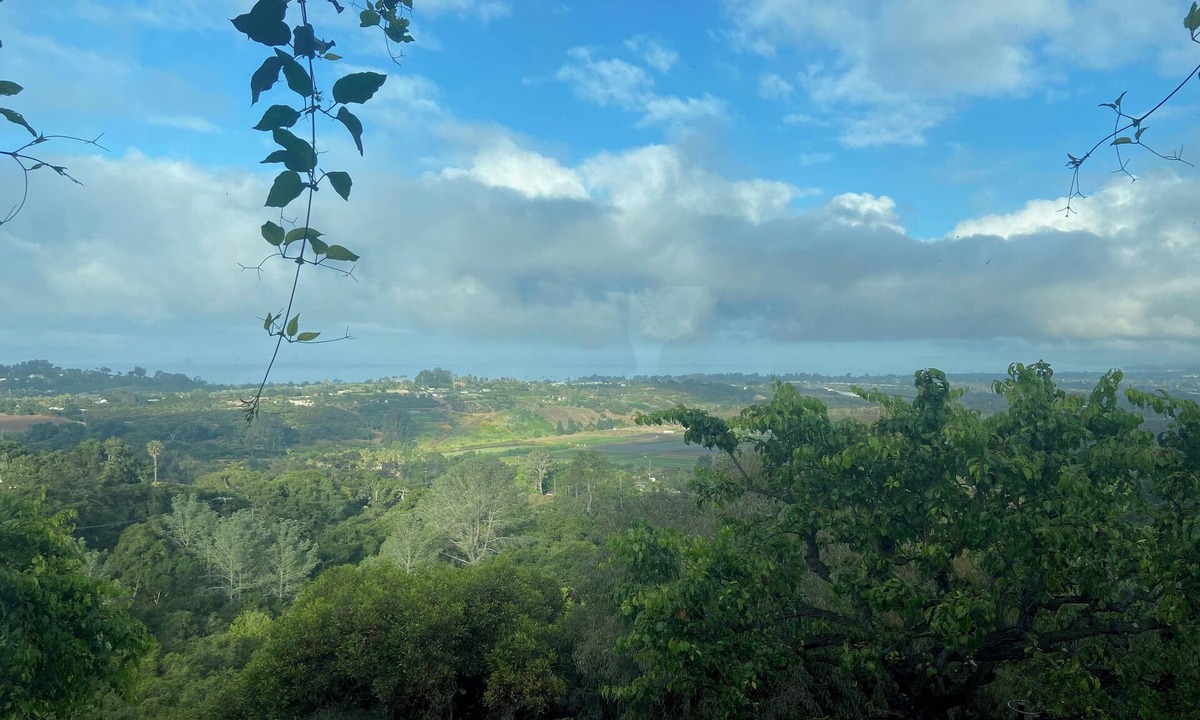 Carpinteria House | Vineyard House Carpinteria CA