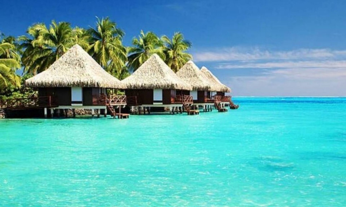 Waldorf House | Waldorf! Stay in style! Relax in style! Enjoy More!