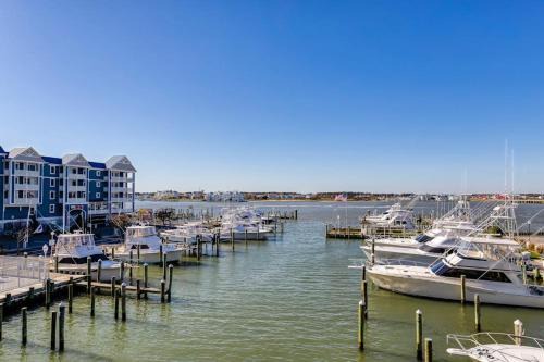 Ocean City House | White Marlin 209B