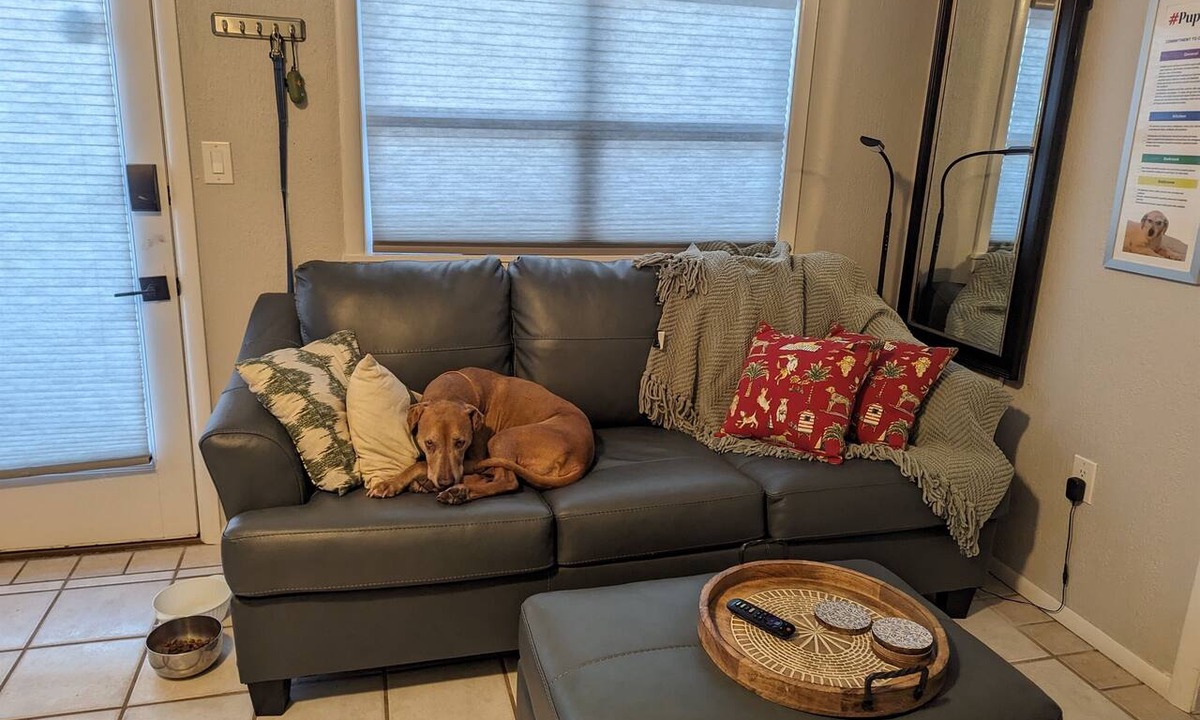 North Wildwood Condo | WildWoof Beach Bungalow @ North Wildwood - No Pet Fees!