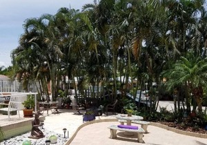 Boutique style apartment in a dream location with pool 200 meters from the beach R