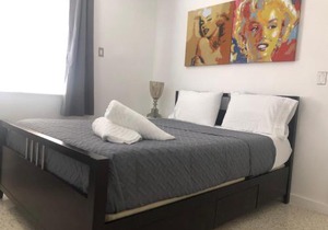 Explore Wynwood 2bedrooms and free parking