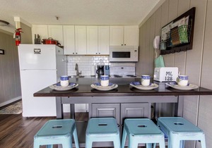 ML 128: Ballhooter views await you. Charming 1BR next to bike trails!