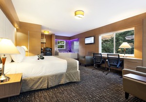 Royal Beach Palace Fort Lauderdale