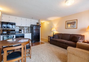 Stroll to Slopes, Village Area, Ski in/out Unit117