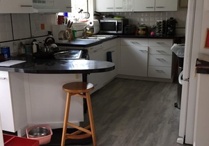 Walk to Beach - Waterfront 3 BR Cape - Pet friendly - Falmouth Heights, MA