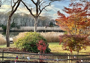 Waterfront Relaxation in Westhampton in Westhampton