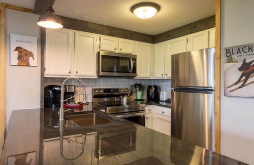 Edray Apartment | 10 Powderidge 1BR Ski Out & pet friendly