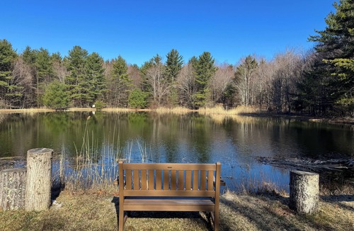 Town of Conesville Cabin | 101 Acre Secluded Private Cabin with Pond & Trails