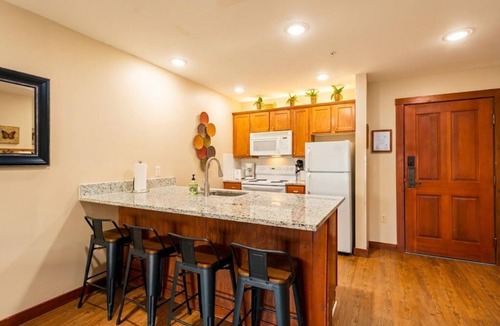 Edray Condo | 1BR Allegheny Springs | No Resort Fee | Ski-In/Out | Sleeps 4