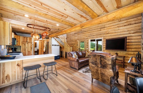 Harrison Cabin | 2 Bedroom Log Cabin on 80 acres in Harrison, Idaho w/Lake View