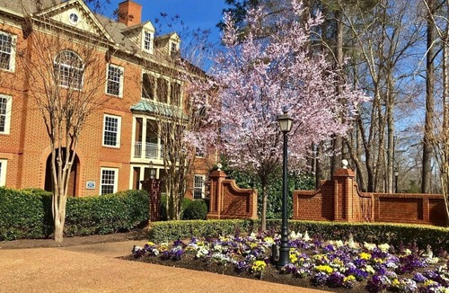 Berkeley Villa | 2BR 2BA Spacious, Well Appointed Villa at Marriott's Manor Club (sleeps 6)