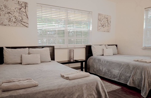 Royal Poinciana House | 3/2 Beautiful Pool home 2 miles from Hollywood Beach.