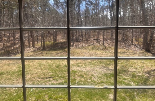 Wellfleet House | 3 Acres on National Seashore. LOCATION! 3BR, 2Kings+1Queen+bunk, sleeps 8, 2FB