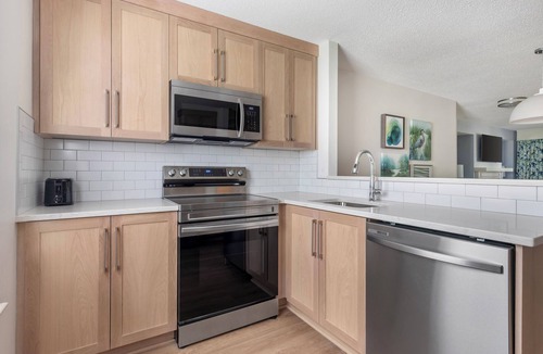 Berkeley Condo | 4 BDRM, SLEEPS 12, ONLY 10 MILES TO BUSCH GARDENS, 2 KITCHENS, 2 BATHS, BOOK NOW