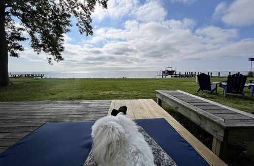 North Beach House | A Little Piece of Paradise - Waterfront Home