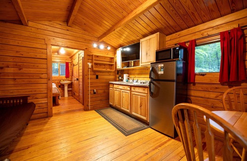 Rileyville Cabin | Adorable river front cabin ,with hot tub on the River