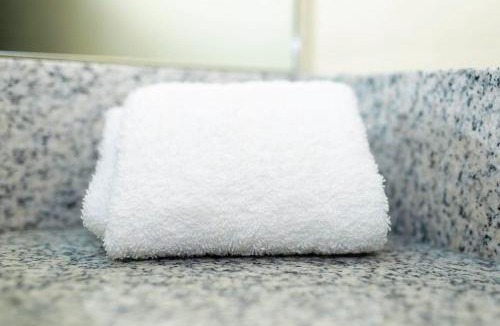 Albany Apartment | Albany Cozy Stay W/Breakfast Close to Downtown