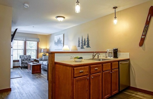 Edray Condo | Allegheny Springs 305: 1 Bedroom, 1 Full Bath, Slope Side, Gas Fireplace