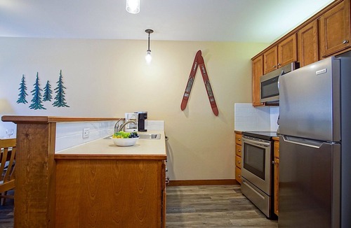 Edray Condo | Allegheny Springs 305: 1 Bedroom, 1 Full Bath, Slope Side, Gas Fireplace