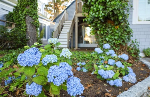 Northwest Harwich Hotel | Allen Harbor Rentals