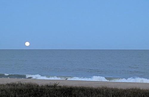 Midtown Ocean City Apartment | BeachBox I - Oceanfront Balcony - Sunrise Views - Couple's Retreat - East Winds 202