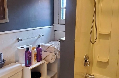 Downtown Buffalo Apartment | Beatiful & spacious Elmwood Village duplex! Over 1500 square foot of space!