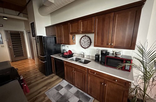 Downtown Rochester Apartment | Beautiful Downtown loft with roof top