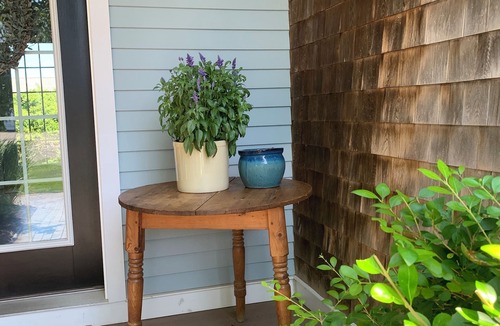 Sandwich House | Beautiful large home with ocean views and 5 minute walk to beach!