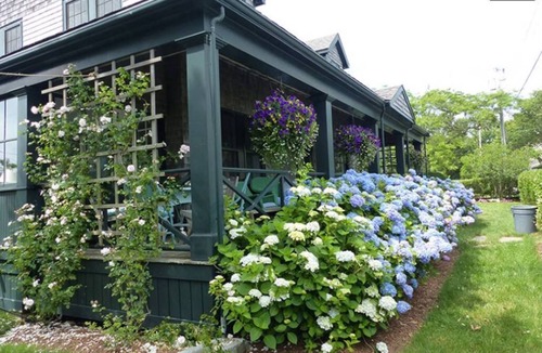 Siasconset House | Beautiful sunny House-Oceanview-close to village AVAIL: 6/22-30+9/6 onward