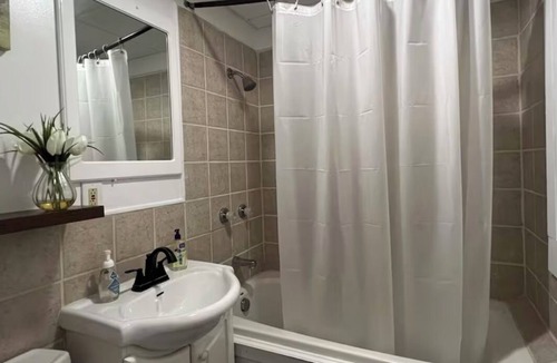 Rochester Apartment | Blue Taro 4