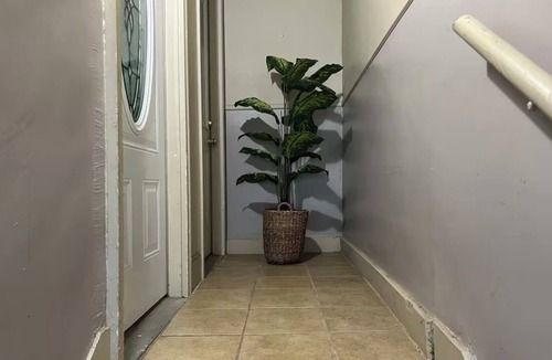 Rochester Apartment | Blue Taro 6
