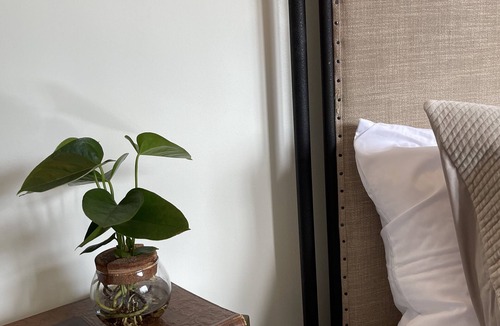 Lexington Hotel | BRAND NEW CONSTRUCTION LUXURY BOUTIQUE HOTEL SUITE