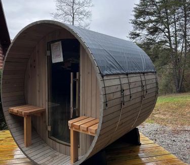 Logan House | Cabin with Stargazing Dome, Sauna, Hot Tub, Pickleball, Firepit