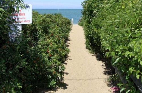 Brewster Cottage | Cape Cod Cottage With Deeded Access To Private Association Beach