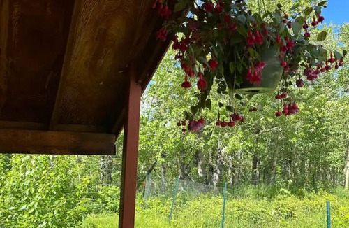 East Glacier Park Cabin | Cedar Cabin Cozy 2-Bedroom next to Glacier Park