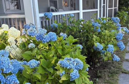 Centerville Cottage | Charming 4-bedroom cottage on Lake Wequaquet