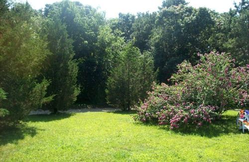 Lagoon Heights House | Charming, gracious cape 3 minute walk to private beach on Lagoon. Dog-friendly!