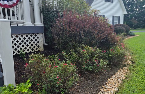 Andersonville Apartment | Charming studio in welcoming Dillwyn, near Farmville