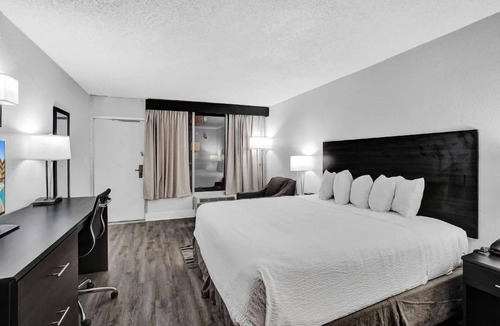 Downtown Hollywood Hotel | Chic Downtown Haven near Hollywood Beach Broadwalk and lively Entertainment