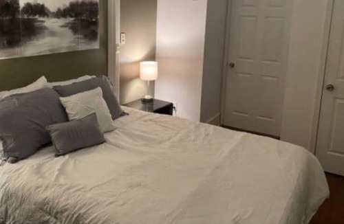 Albright Apartment | City Spot💥FREE offstreet parking/Fenced yard&A/C Pet friendly!
